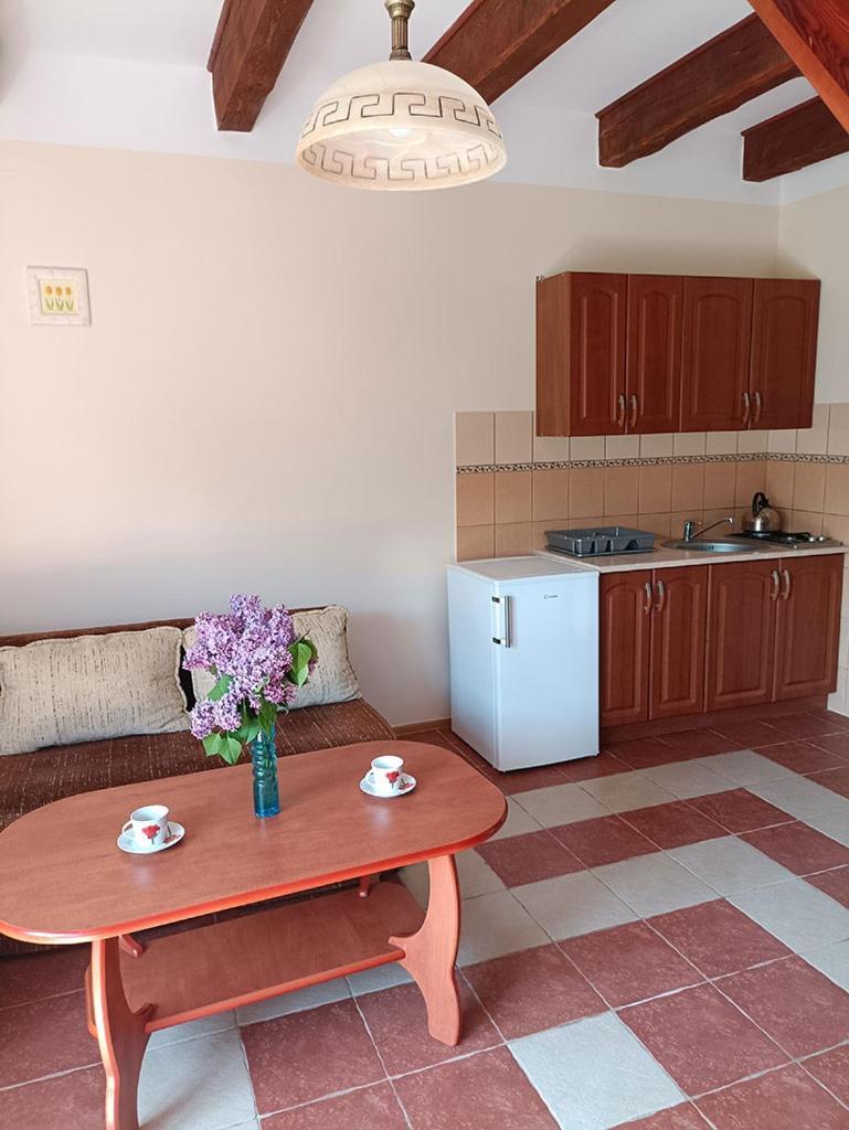 Apartamenty "Anusia" Ledzin エクステリア 写真
