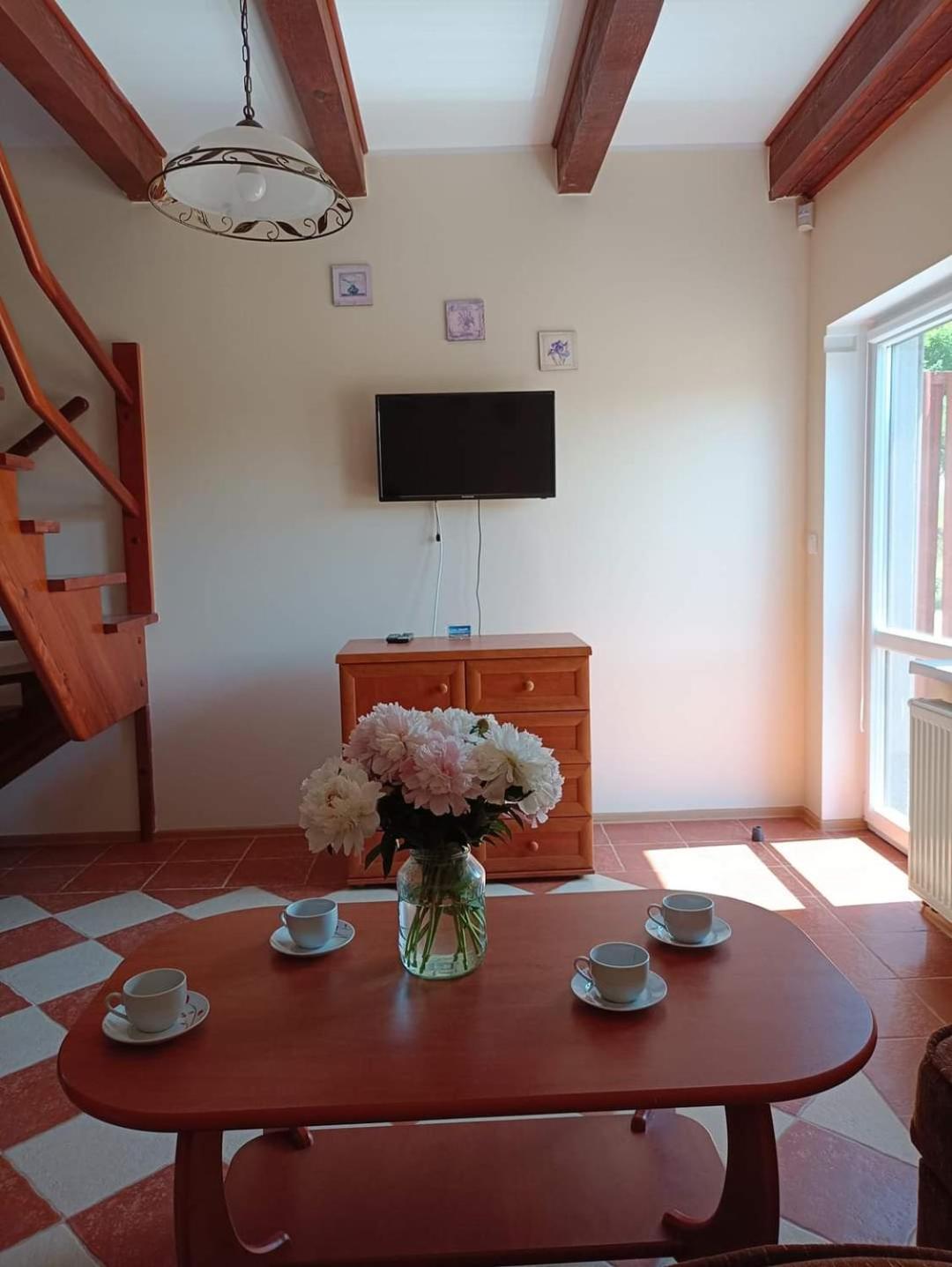 Apartamenty "Anusia" Ledzin エクステリア 写真