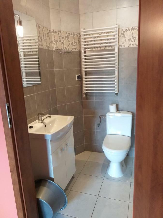 Apartamenty "Anusia" Ledzin エクステリア 写真
