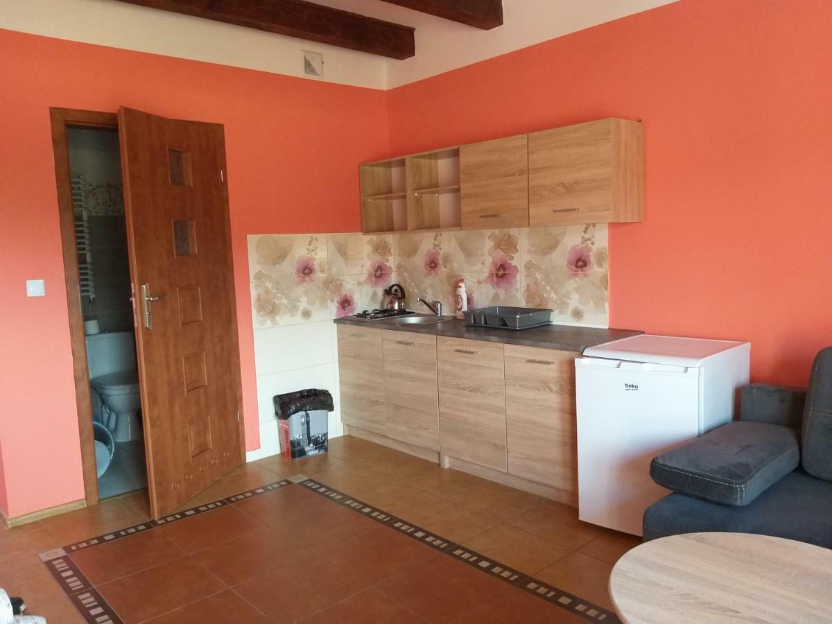 Apartamenty "Anusia" Ledzin エクステリア 写真